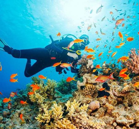 Snorkeling Trip Hurghada – Code SHSK 21