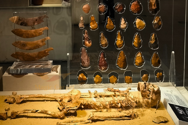 Nazlet Khater Skeleton. Second most ancient skeleton in Egypt at the National Museum of Egyptian Civilization tour with its reviews.