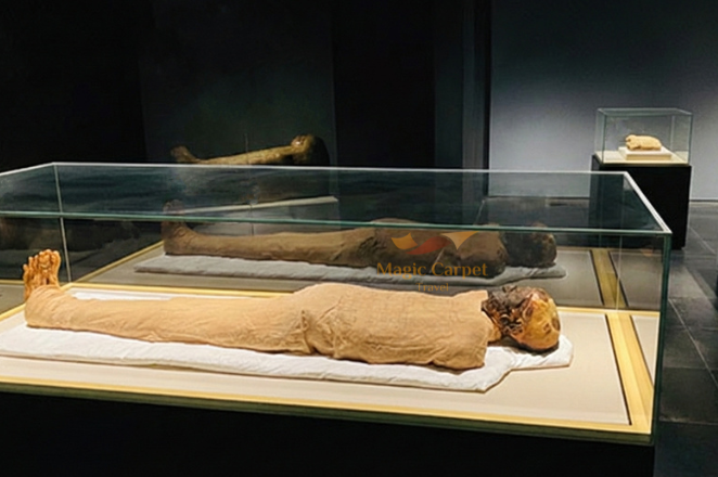 Royal mummies hall at National Museum of Egyptian Civilization
