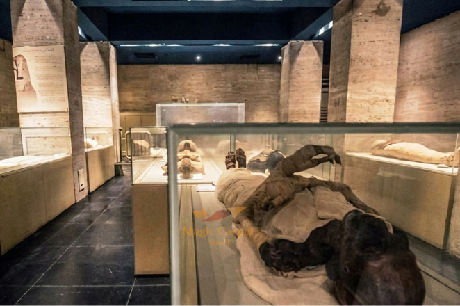 Royal mummies hall tour at National Museum of Egyptian Civilization with Magic Carpet Travel